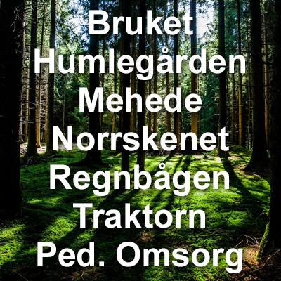 Förskoleområde 3